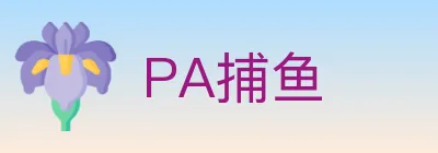 PA捕鱼 logo
